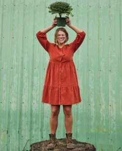 Scouter Cord Tiered Dress -Toad&Co Sales Store T1781304 Cinnamon 5