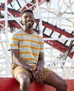 Grom Hemp Short Sleeve Tee -Toad&Co Sales Store T2002900 PALE SLATE WIDE STRIPE 3